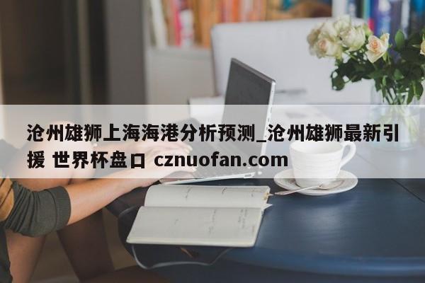 沧州雄狮上海海港分析预测_沧州雄狮最新引援 世界杯盘口 cznuofan.com